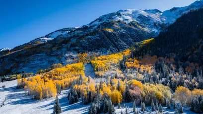 秋雪山林 雪山 秋景 森林 4K