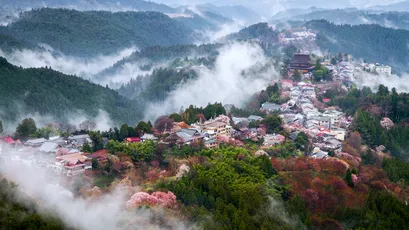 山间雾绕古村 山水风光 乡村景色 朦胧雾气 4K
