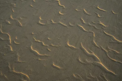 沙地波纹 自然 沙地 波纹 4K
