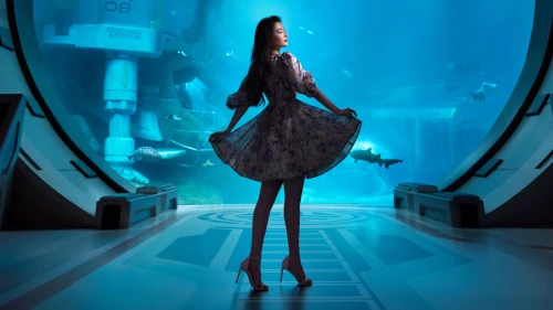 水族馆中的女子 水族馆 女性 蓝色调 4K
