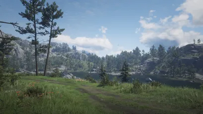 森林中的蜿蜒小径 自然景观 户外探险 绿色植物 4K