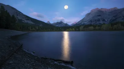 月光湖畔 自然风光 夜晚 宁静 1080P