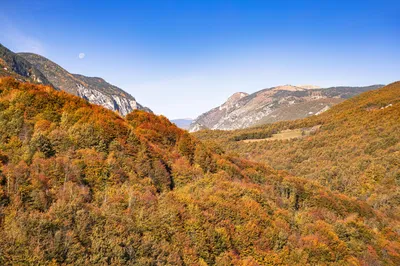 秋日山谷层林尽染 自然风光 秋季 山林 4K