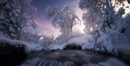 雪夜溪流 冬季 雪景 森林 4K