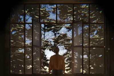 窗景 窗景 自然 光影 SD