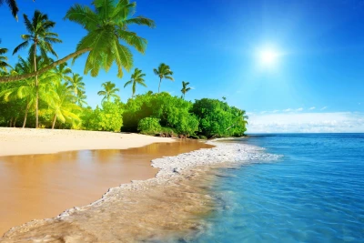 热带海滩 热带 海滩 棕榈树 2K
