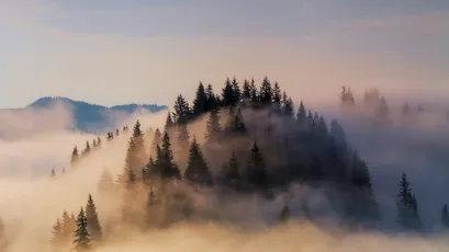晨雾中的山林 自然风光 晨雾 山林 4K