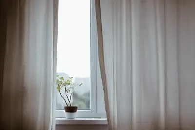 窗边绿植 室内 简约风格 白色窗帘 4K