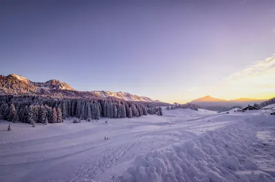 雪原晨曦 雪山 冬季 日出 4K
