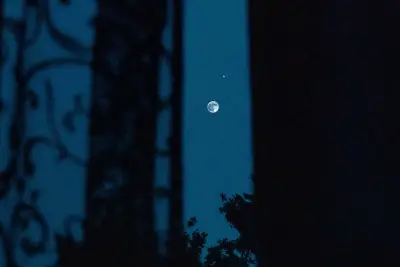 月夜窗棂剪影 夜景 月亮 窗棂 2K