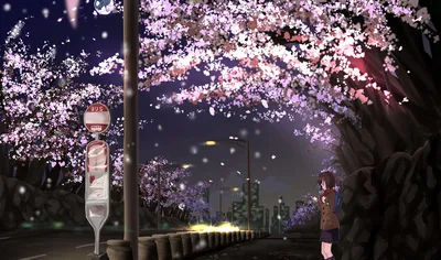 夜樱街景 樱花 夜晚 街道 4K
