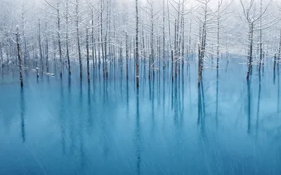 冬日蓝池 自然景观 冬季风光 蓝色调 1080P