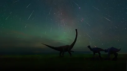夜空下的恐龙剪影 夜晚 星空 恐龙 4K