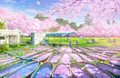 樱花下的船阵 樱花 公园 小船 4K