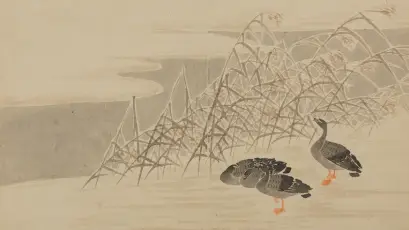 冬日芦苇中的鸭群 冬季 芦苇 鸭子 2K