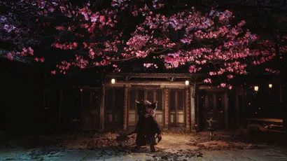 夜晚樱花下的神秘身影 夜晚 樱花 神秘 4K