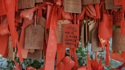 祈愿符挂满神社 宗教 日本 红色 4K