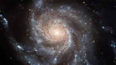 壮丽的螺旋星系 宇宙 星系 太空 8K