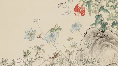 花鸟图 中国画 花卉 自然 1080P