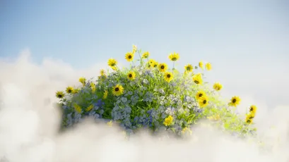 云中花海 自然 花卉 蓝天 4K