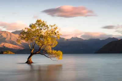 湖中孤树映晚霞 风景摄影 湖泊 孤树 4K