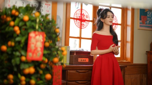 新年喜庆场景 新年 喜庆 红色 4K