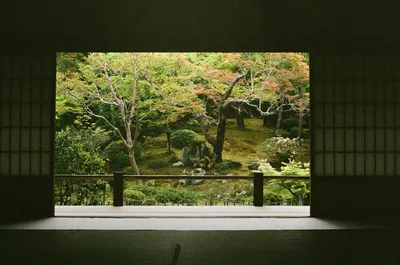 日式庭园景致 日式庭院 传统建筑 绿色植物 2K