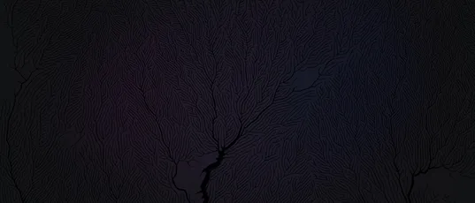 暗夜树影 抽象艺术 线条纹理 深色调 4K