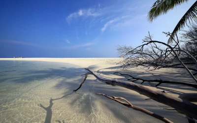 热带海滩宁静景 海滩 热带 宁静 2K