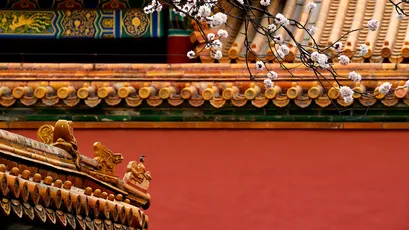 故宫春景 故宫 传统建筑 红色 1080P