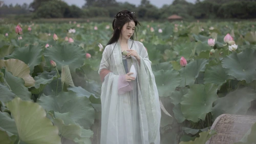 莲花池畔的古典美 莲花 古典服饰 绿色背景 4K