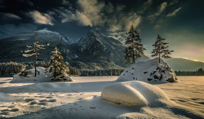 冬日雪景 冬季 雪山 森林 8K
