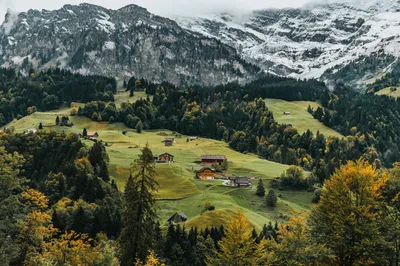 山间秋色 自然风光 秋季景色 绿色 4K