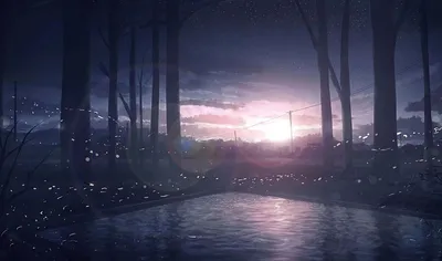 暮色森林 森林 黄昏 梦幻 4K
