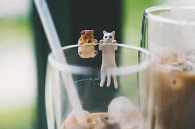 萌宠杯边趣 猫咪 饮品 可爱 SD