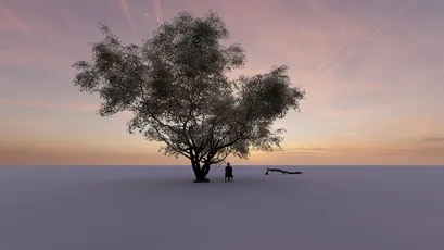 孤独的树 孤独 自然 黄昏 4K