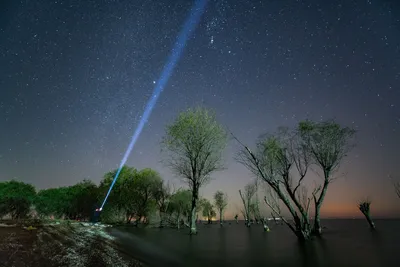 星空下的湖畔 夜景 星空 湖水 4K
