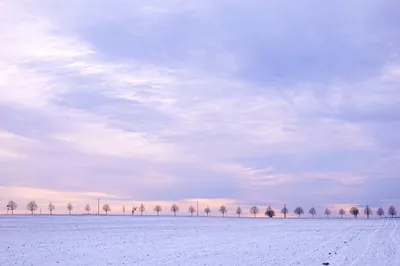 雪原冬景 雪地 冬季 自然风光 4K