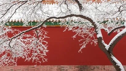 雪覆红墙 雪景 古建筑 红色 1080P