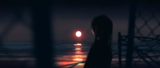暮色中的剪影 黄昏 剪影 海景 4K