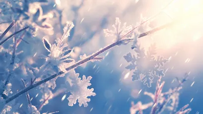 冬日雪景 冬季 雪花 树枝 4K