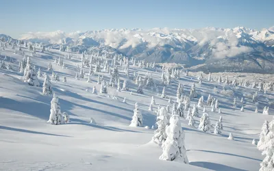 雪覆山林 雪山 冬季 雪景 2K