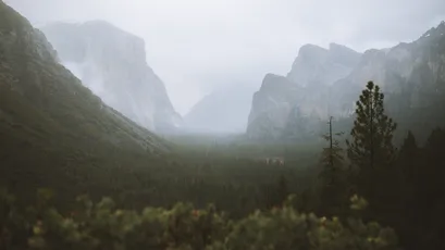 雾气缭绕的山林 自然景观 森林 雾气 4K