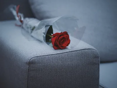 玫瑰花 玫瑰 花束 灰色 4K