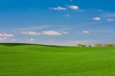 绿野晴空 田园风光 自然景观 蓝天白云 4K