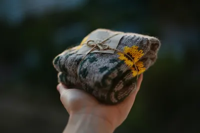 温暖的毛毯 手拿物品 毛毯 自然背景 4K