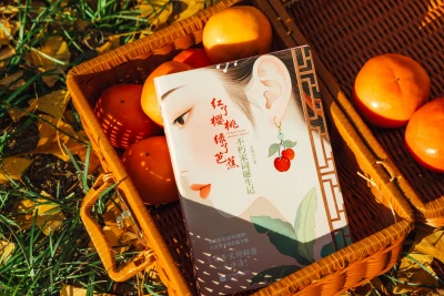 秋日红柿与书 秋天 静物摄影 柿子 8K
