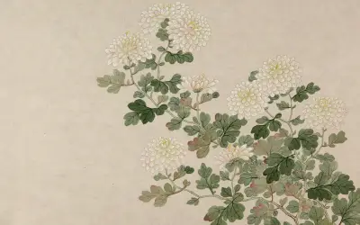 白菊图 国画 花卉 菊花 SD