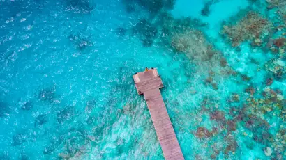 热带海洋木桥 热带 海洋 木桥 4K