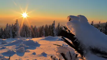 冬日雪景 冬季 雪地 夕阳 4K